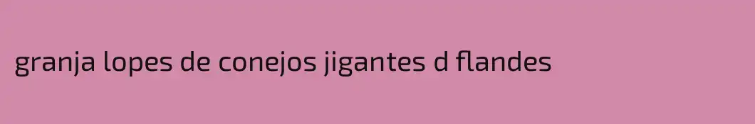 granja lopes de conejos jigantes d flandes